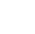 Customizing <br>the PXl electronics